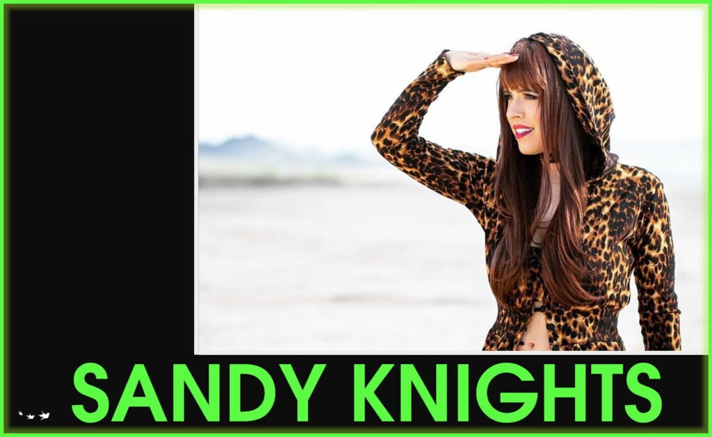 Sandy Knights chasing dreams podcast interview business travel website