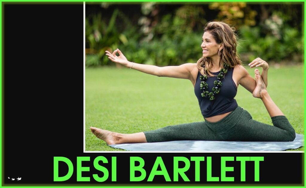 Desi Bartlett living with flow podcast interview business travel website