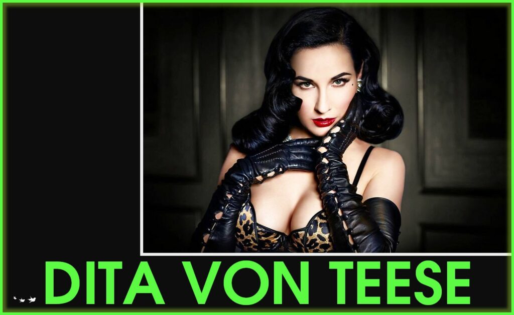 Dita Von Teese glamorous traveling