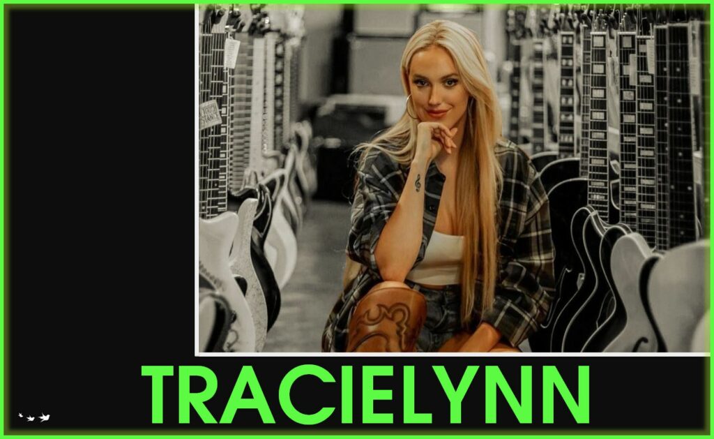 Tracielynn harmonizing dreams podcast interview business travel website